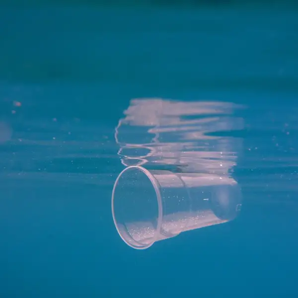 aquatic-litter-thubnail-activities