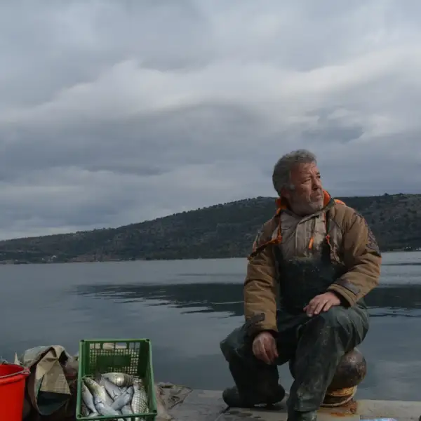 human-and-aquatic-ecosystems-thubnail-activities