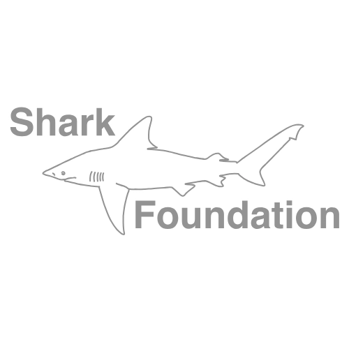 Shark Foundation