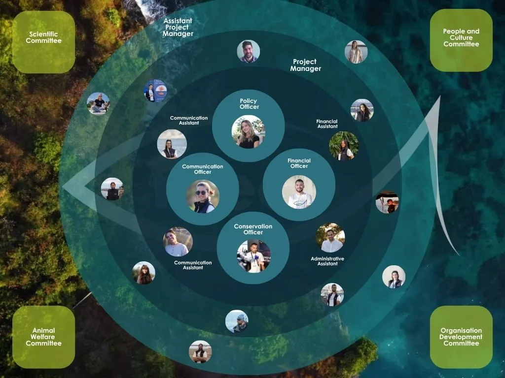 Organisational Chart