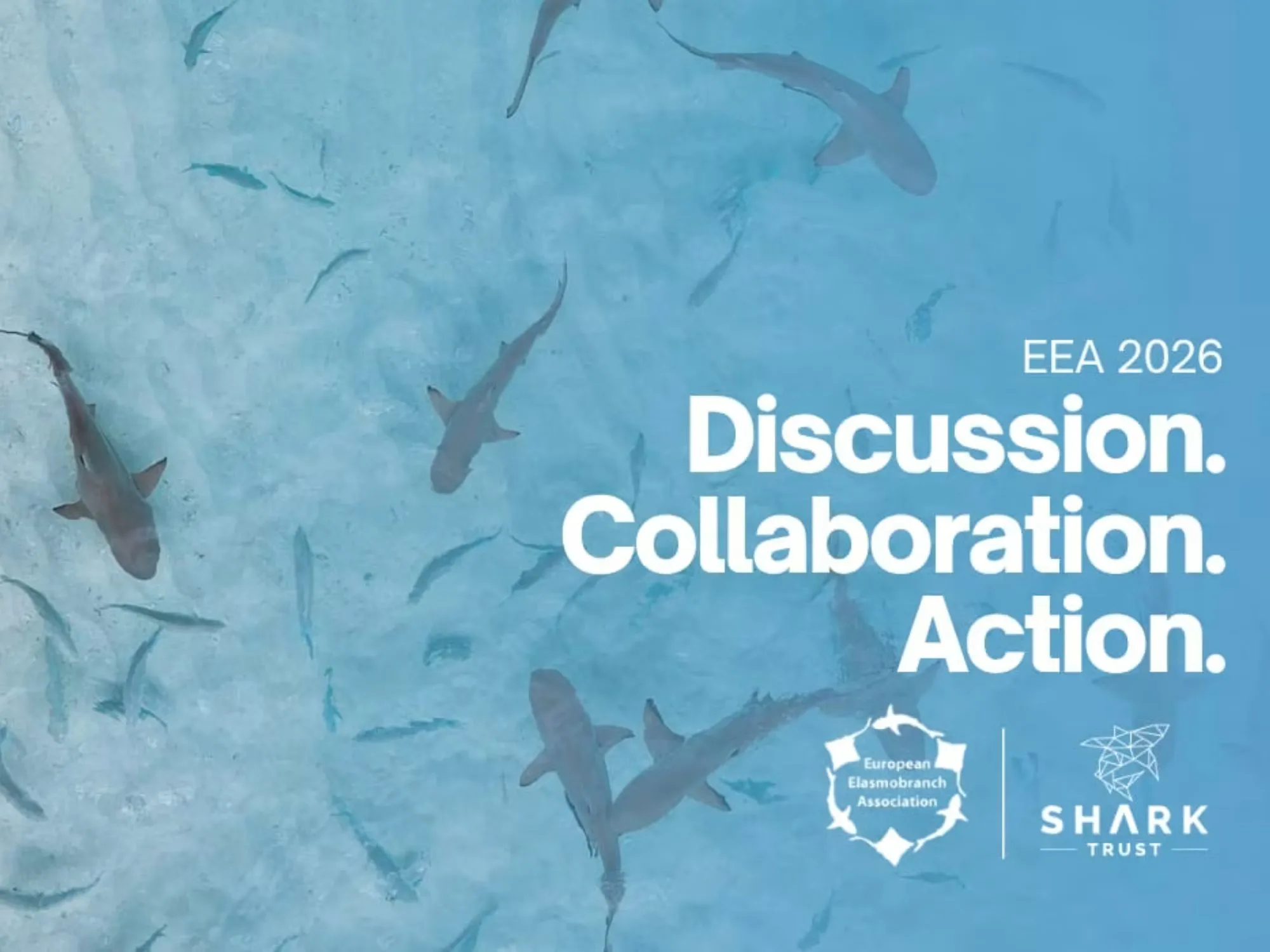 latest-news-EEA-2026