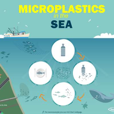 Poster: microplastic in the sea