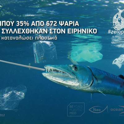 Σημαία: Ψάρι