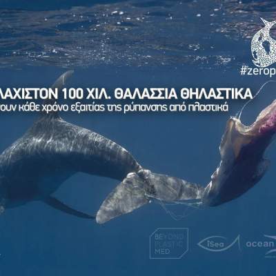 Σημαία: Θαλάσσια θηλαστικά