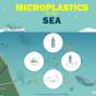 Poster: microplastic in the sea