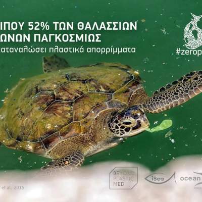 Σημαία: Θαλάσσιες χελώνες