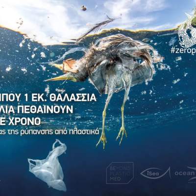 Σημαία: Θαλάσσια πουλιά