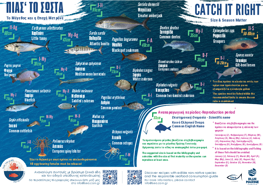 Catch it right size & season matter