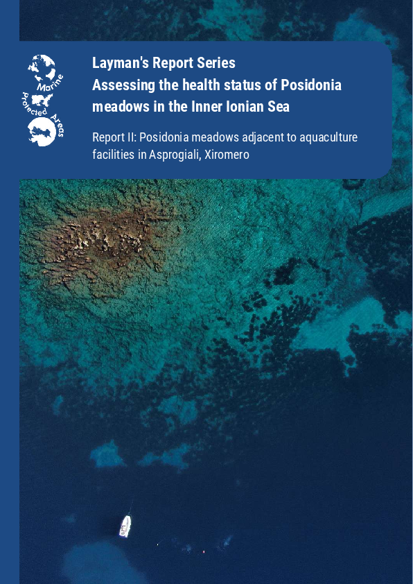 Assessing the health status of Posidonia - Report II