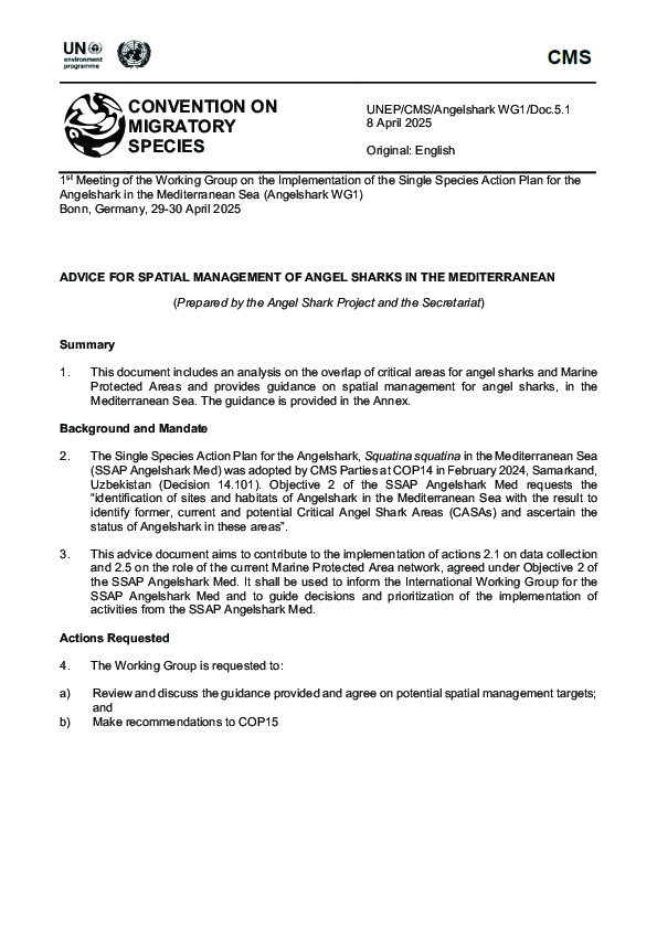 Advice for Spatial Management of Angel Sharks in the Mediterranean Sea