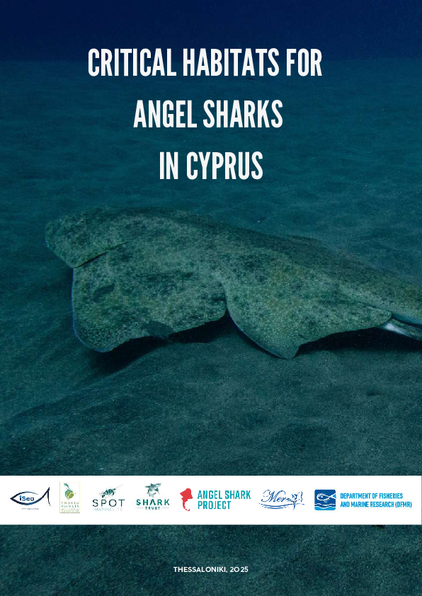 Critical habitats for angel sharks in Cyprus