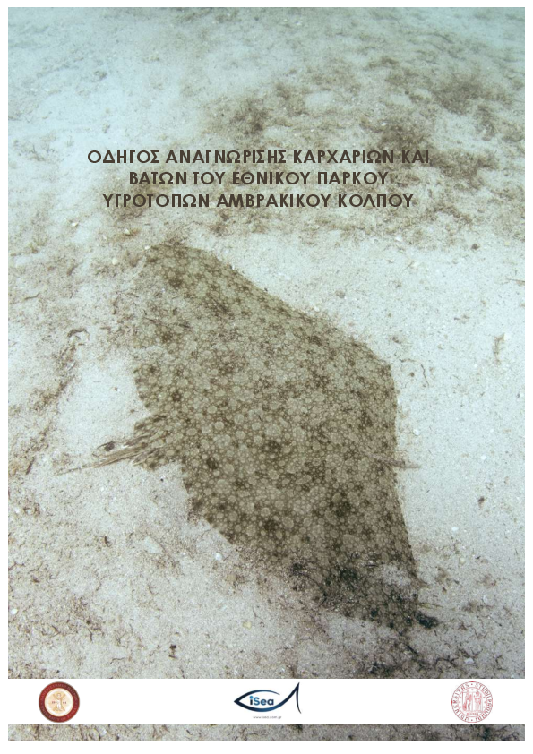 Οδηγος αναγνωρισης καρχαριων και βατων του εθνικου παρκου υγροτοπων αμβρακικου κολπου