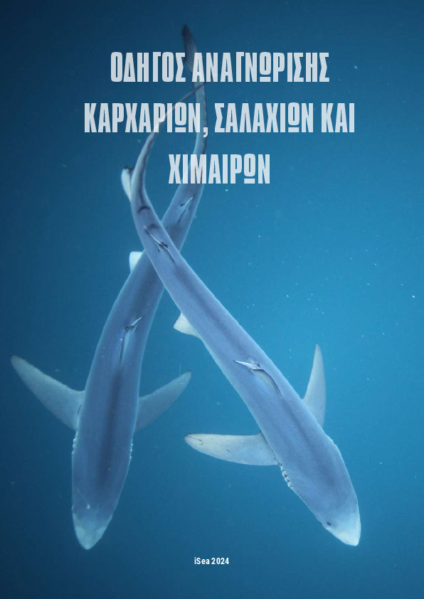 Οδηγος αναγνωρισης καρχαριων, σαλαχιων και χιμαιρων