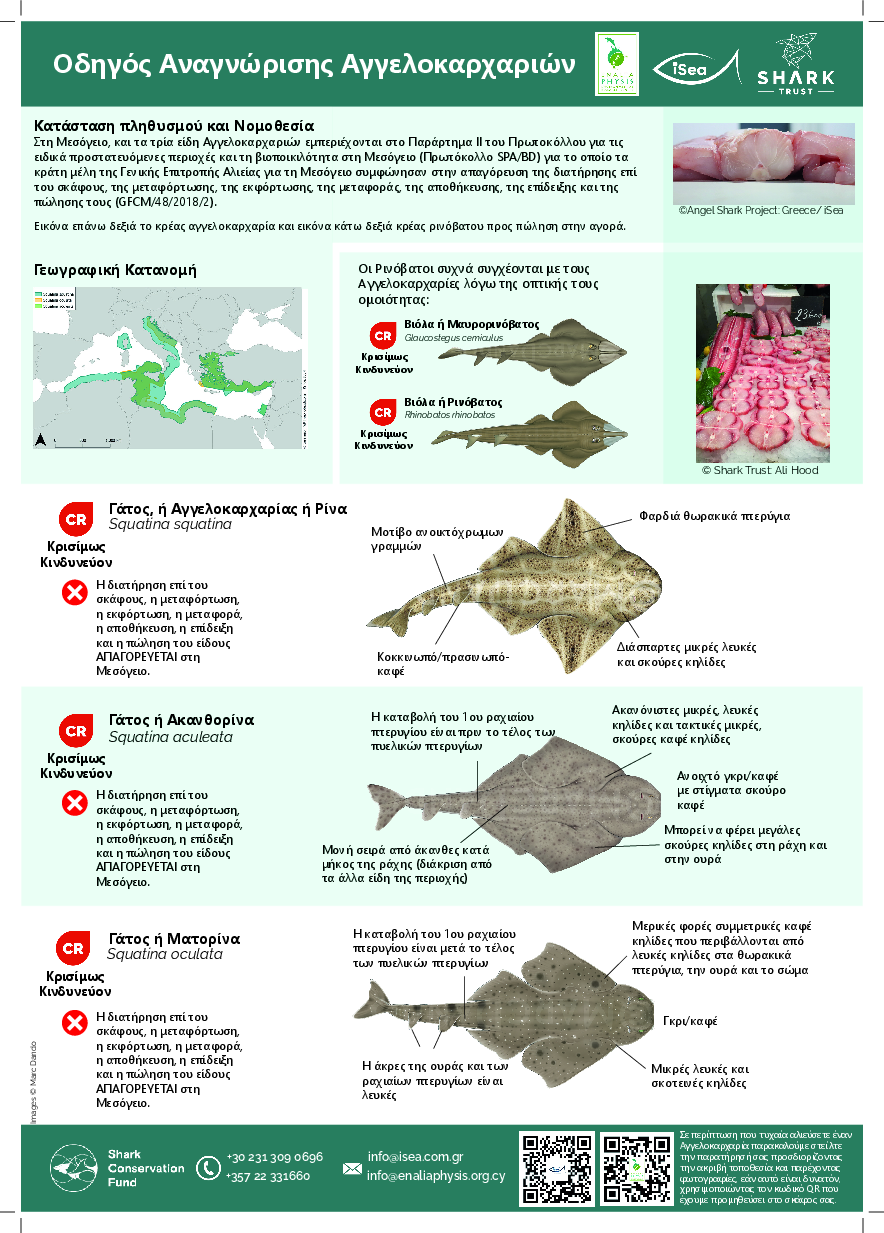 Οδηγός Αναγνώρισης Αγγελοκαρχαριών