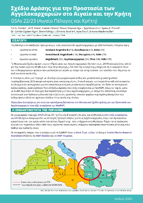 Mediterranean Angel Sharks: SubRegional Action Plan (SubRAP) GSAs 22/23 (Aegean Sea and Crete)