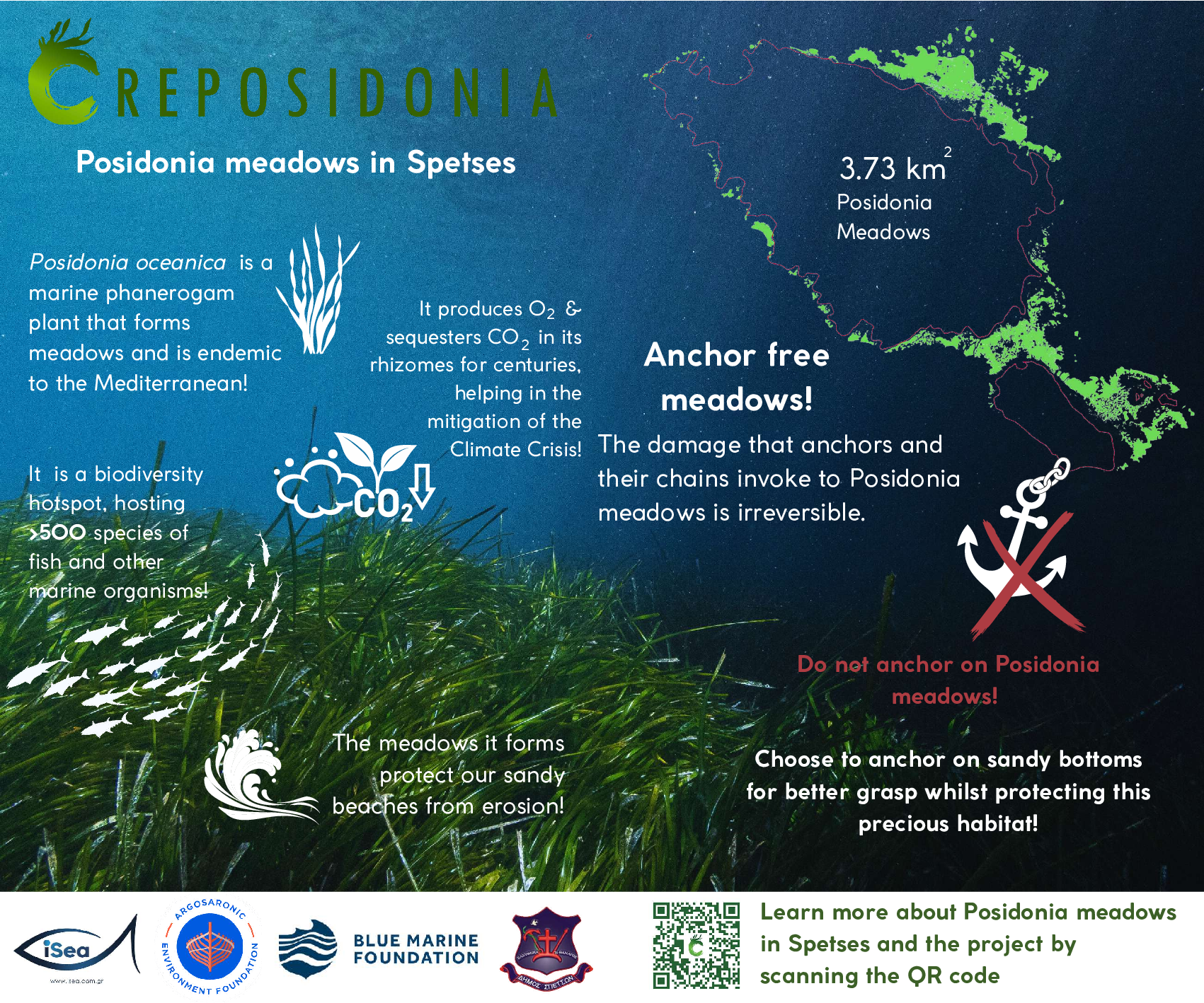 REPOSIDONIA